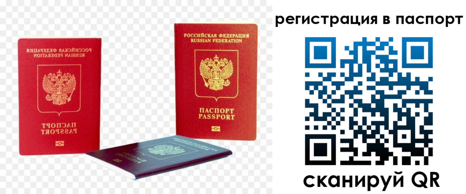 временная регистрация поиск в Алексеевке